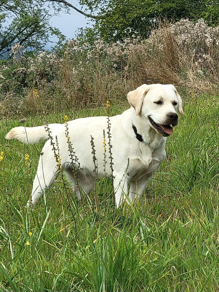 Hunting Friend Viss lady